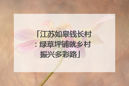 江苏如皋钱长村：绿草坪铺就乡村振兴多彩路