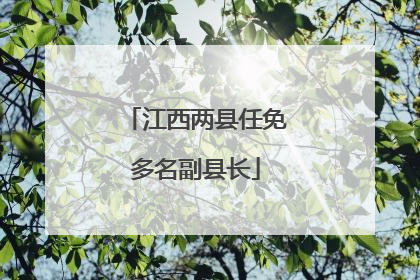 江西两县任免多名副县长