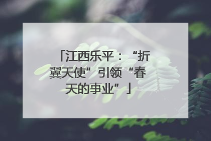 江西乐平：“折翼天使”引领“春天的事业”