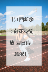 江西新余：荷花竞绽放 夏日诗意浓