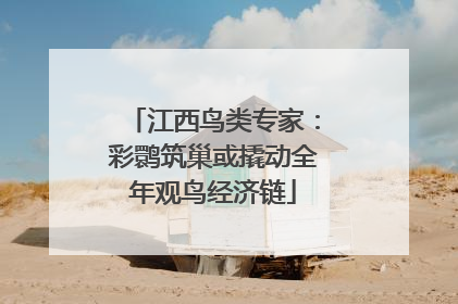 江西鸟类专家：彩鹮筑巢或撬动全年观鸟经济链