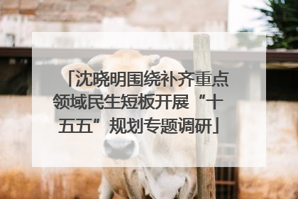 沈晓明围绕补齐重点领域民生短板开展“十五五”规划专题调研