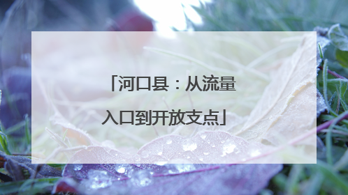 河口县：从流量入口到开放支点