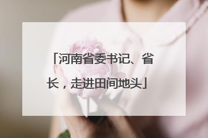 河南省委书记、省长，走进田间地头