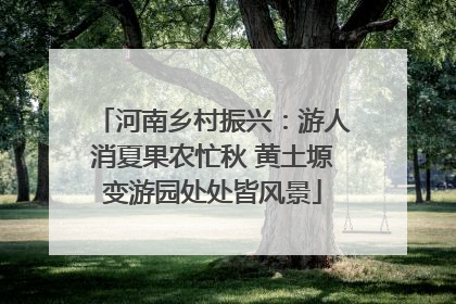 河南乡村振兴：游人消夏果农忙秋 黄土塬变游园处处皆风景
