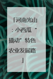 河南光山：小西瓜“撬动”特色农业发展路