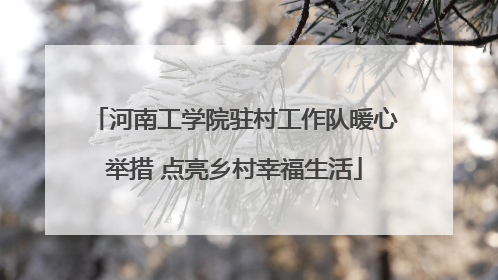 河南工学院驻村工作队暖心举措 点亮乡村幸福生活