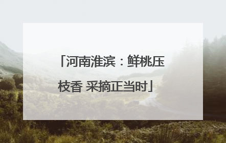 河南淮滨：鲜桃压枝香 采摘正当时