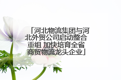 河北物流集团与河北外贸公司启动整合重组 加快培育全省商贸物流龙头企业