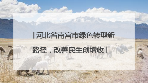 河北省南宫市绿色转型新路径，改善民生创增收