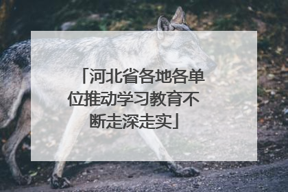 河北省各地各单位推动学习教育不断走深走实