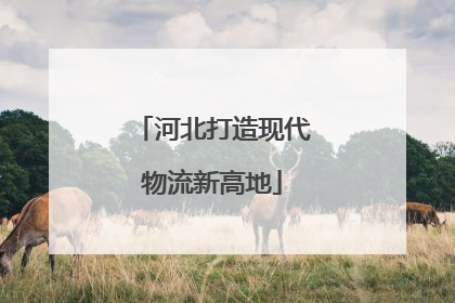 河北打造现代物流新高地