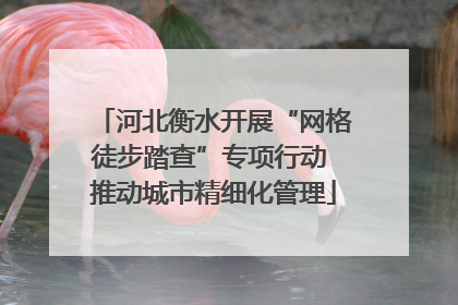 河北衡水开展“网格徒步踏查”专项行动 推动城市精细化管理