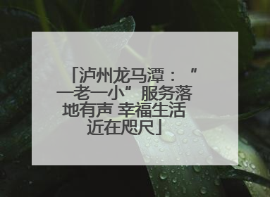 泸州龙马潭：“一老一小”服务落地有声 幸福生活近在咫尺
