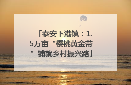 泰安下港镇：1.5万亩“樱桃黄金带”铺就乡村振兴路