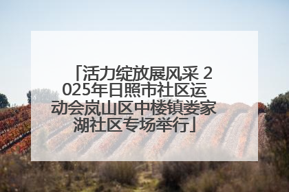 活力绽放展风采 2025年日照市社区运动会岚山区中楼镇娄家湖社区专场举行
