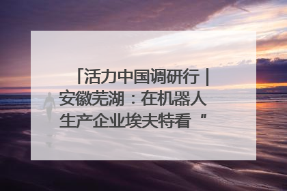 活力中国调研行｜安徽芜湖：在机器人生产企业埃夫特看“中国智造”