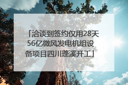 洽谈到签约仅用28天 56亿微风发电机组设备项目四川蓬溪开工