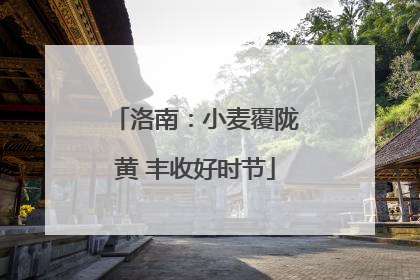 洛南：小麦覆陇黄 丰收好时节