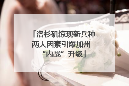 洛杉矶惊现新兵种 两大因素引爆加州“内战”升级