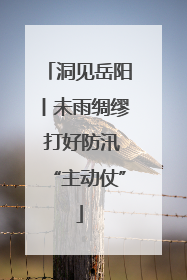 洞见岳阳丨未雨绸缪 打好防汛“主动仗”