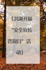 洪湖开展“安全宣传咨询日”活动