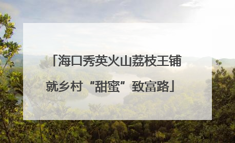 海口秀英火山荔枝王铺就乡村“甜蜜”致富路