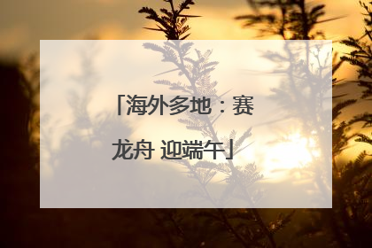 海外多地：赛龙舟 迎端午