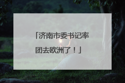 济南市委书记率团去欧洲了！