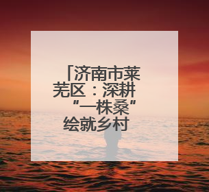 济南市莱芜区：深耕“一株桑” 绘就乡村振兴图
