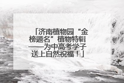 济南植物园“金榜题名”植物特辑——为中高考学子送上自然祝福！