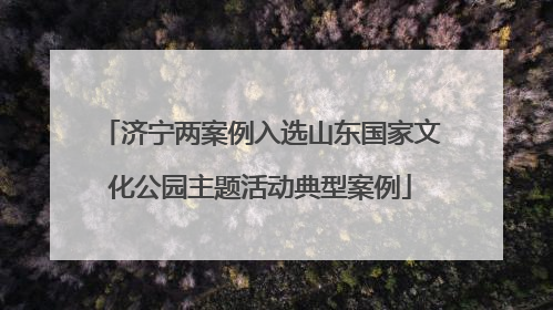 济宁两案例入选山东国家文化公园主题活动典型案例