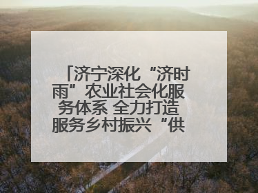 济宁深化“济时雨”农业社会化服务体系 全力打造服务乡村振兴“供销样板”