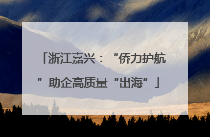 浙江嘉兴：“侨力护航”助企高质量“出海”