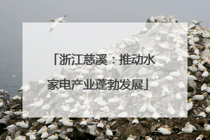 浙江慈溪：推动水家电产业蓬勃发展