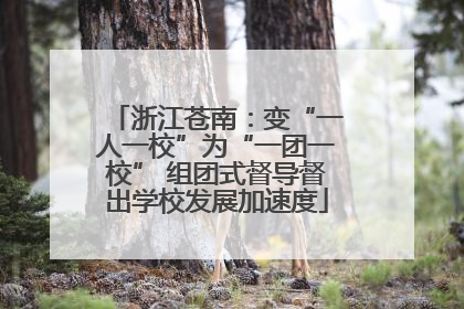 浙江苍南：变“一人一校”为“一团一校” 组团式督导督出学校发展加速度