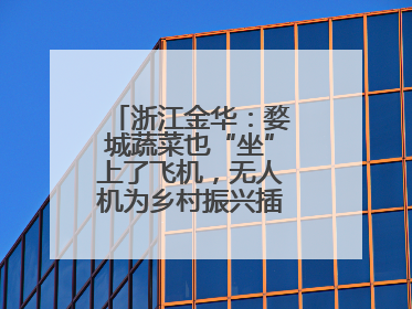 浙江金华：婺城蔬菜也“坐”上了飞机，无人机为乡村振兴插上“翅膀”