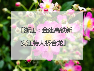 浙江：金建高铁新安江特大桥合龙