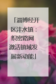 淄博经开区沣水镇：织密路网 激活镇域发展新动能