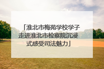 淮北市梅苑学校学子走进淮北市检察院沉浸式感受司法魅力