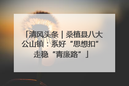清风头条｜桑植县八大公山镇：系好“思想扣” 走稳“青廉路”