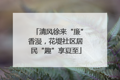 清风徐来“廉”香漫，花堤社区居民“趣”享夏至