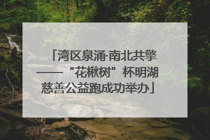 湾区泉涌·南北共擎——“花楸树”杯明湖慈善公益跑成功举办