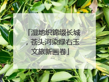 湿地织锦缀长城，苍头河染绿右玉文旅新画卷