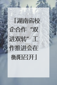 湖南省校企合作“双进双转”工作推进会在衡阳召开