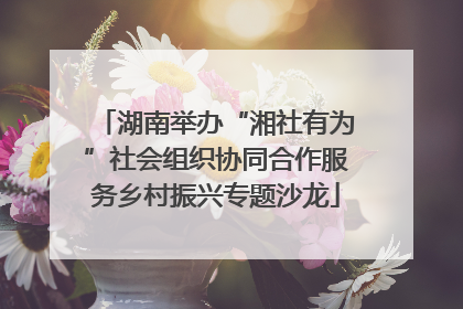 湖南举办“湘社有为”社会组织协同合作服务乡村振兴专题沙龙