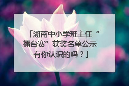 湖南中小学班主任“擂台赛”获奖名单公示 有你认识的吗？