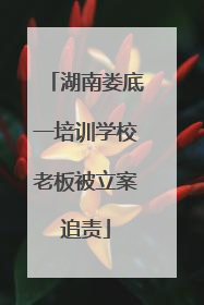 湖南娄底一培训学校老板被立案追责