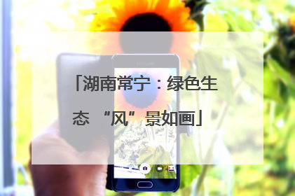 湖南常宁：绿色生态 “风”景如画