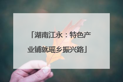湖南江永：特色产业铺就瑶乡振兴路